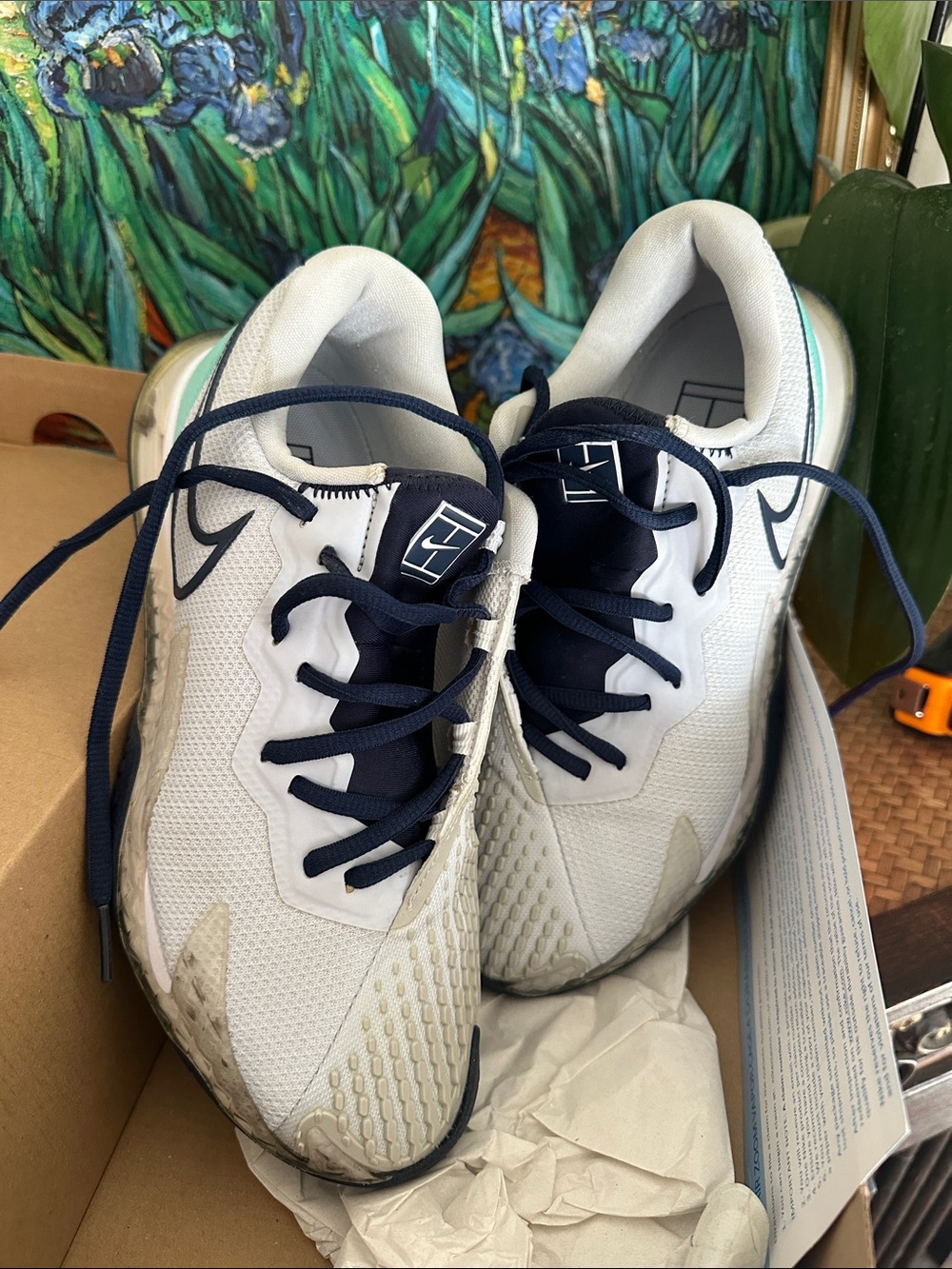 Nike zoom vapor pro cage 4 tennis shoes